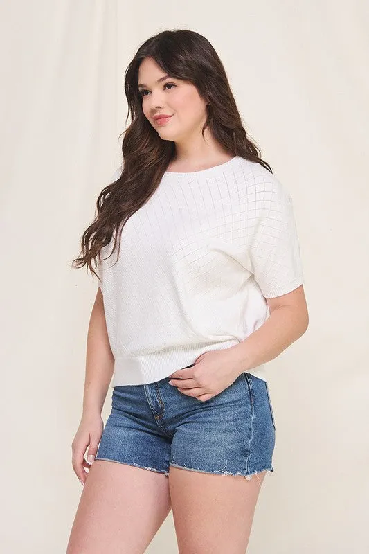 Dolman Pointelle Sweater Top (Plus)